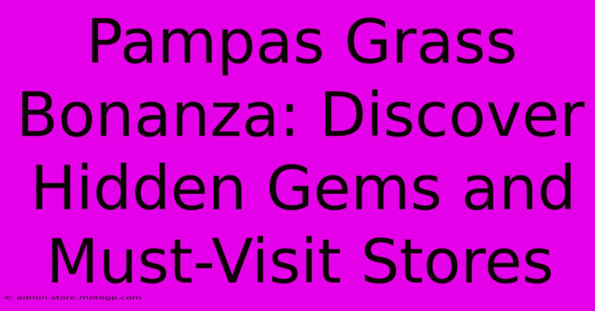 Pampas Grass Bonanza: Discover Hidden Gems And Must-Visit Stores