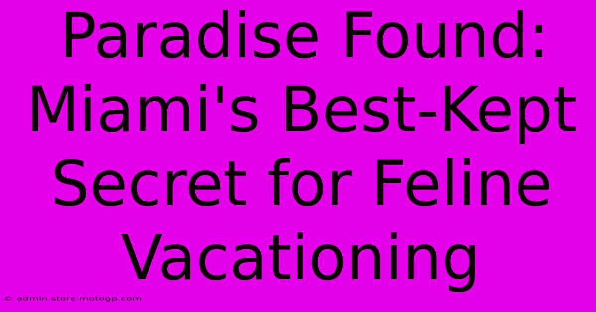 Paradise Found: Miami's Best-Kept Secret For Feline Vacationing