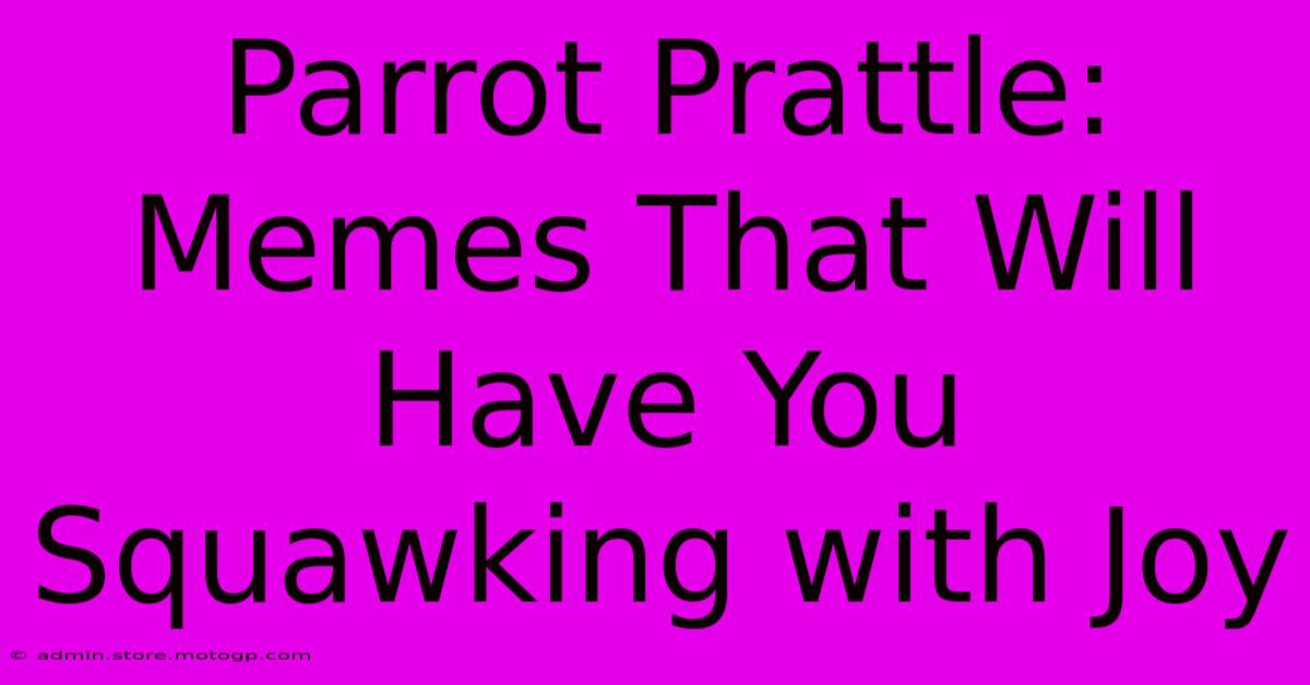 Parrot Prattle: Memes That Will Have You Squawking With Joy