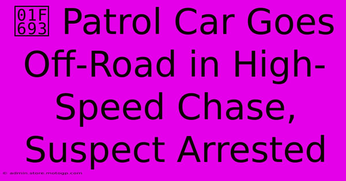 🚓 Patrol Car Goes Off-Road In High-Speed Chase, Suspect Arrested