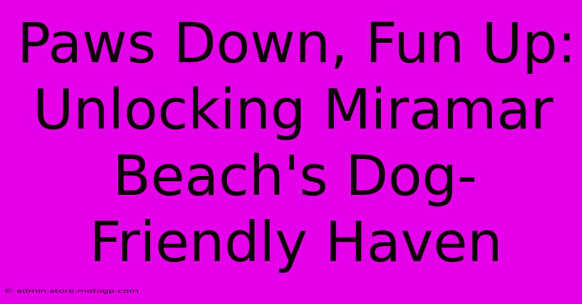 Paws Down, Fun Up: Unlocking Miramar Beach's Dog-Friendly Haven