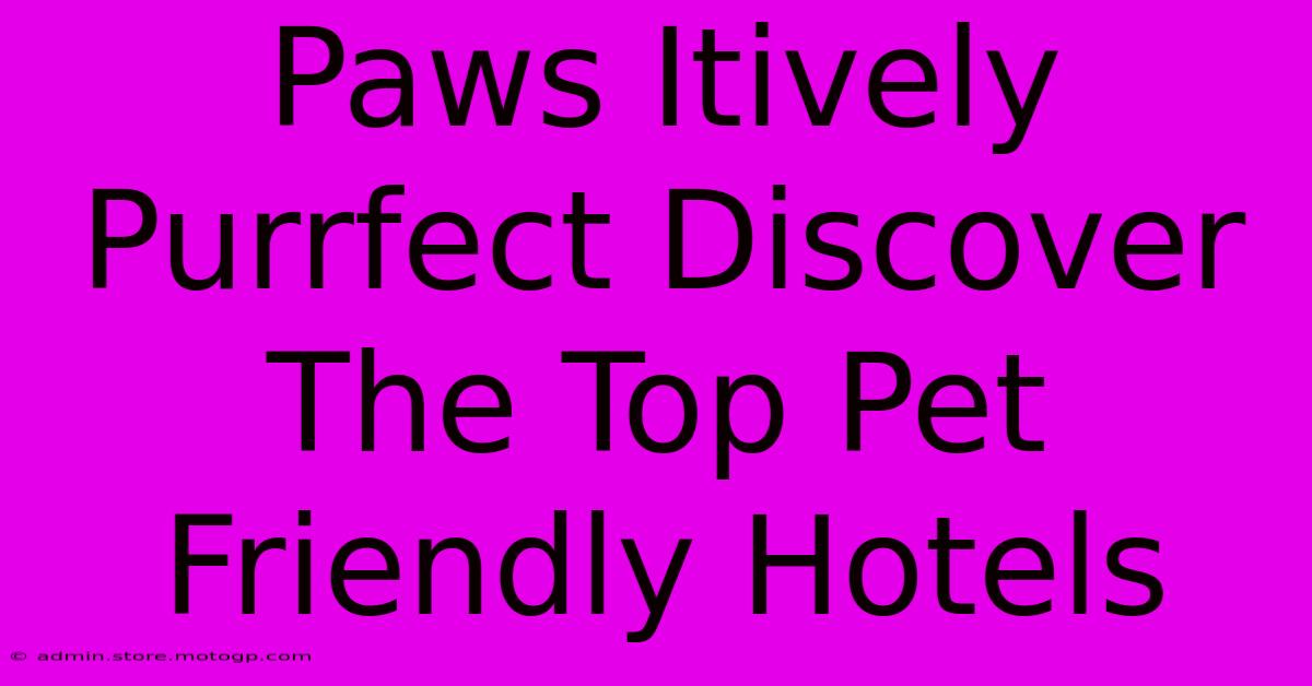 Paws-itively Purrfect: Discover the Top Pet-Friendly Hotels in Crested Butte