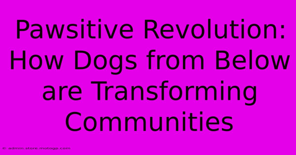 Pawsitive Revolution: How Dogs From Below Are Transforming Communities