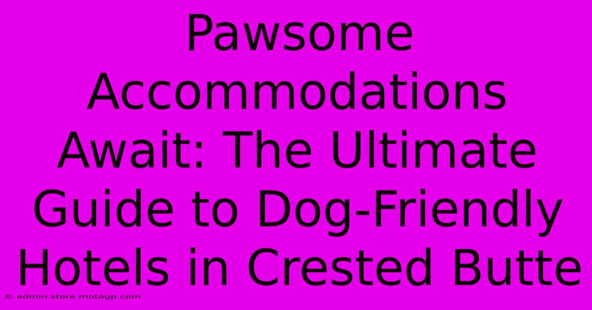 Pawsome Accommodations Await: The Ultimate Guide To Dog-Friendly Hotels In Crested Butte