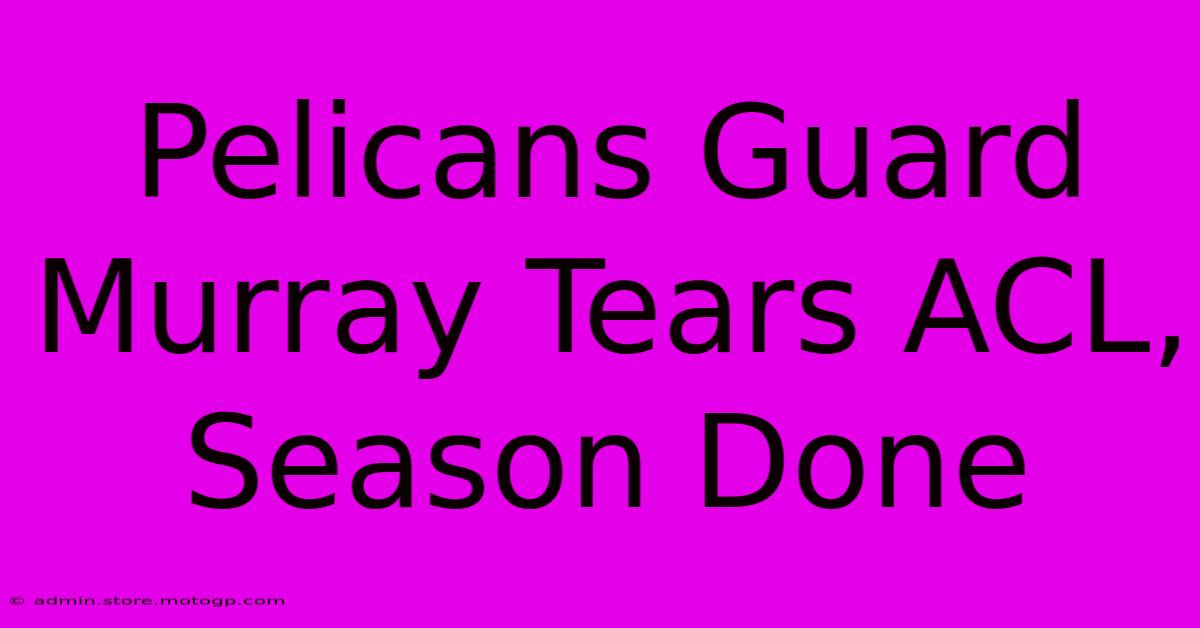 Pelicans Guard Murray Tears ACL, Season Done