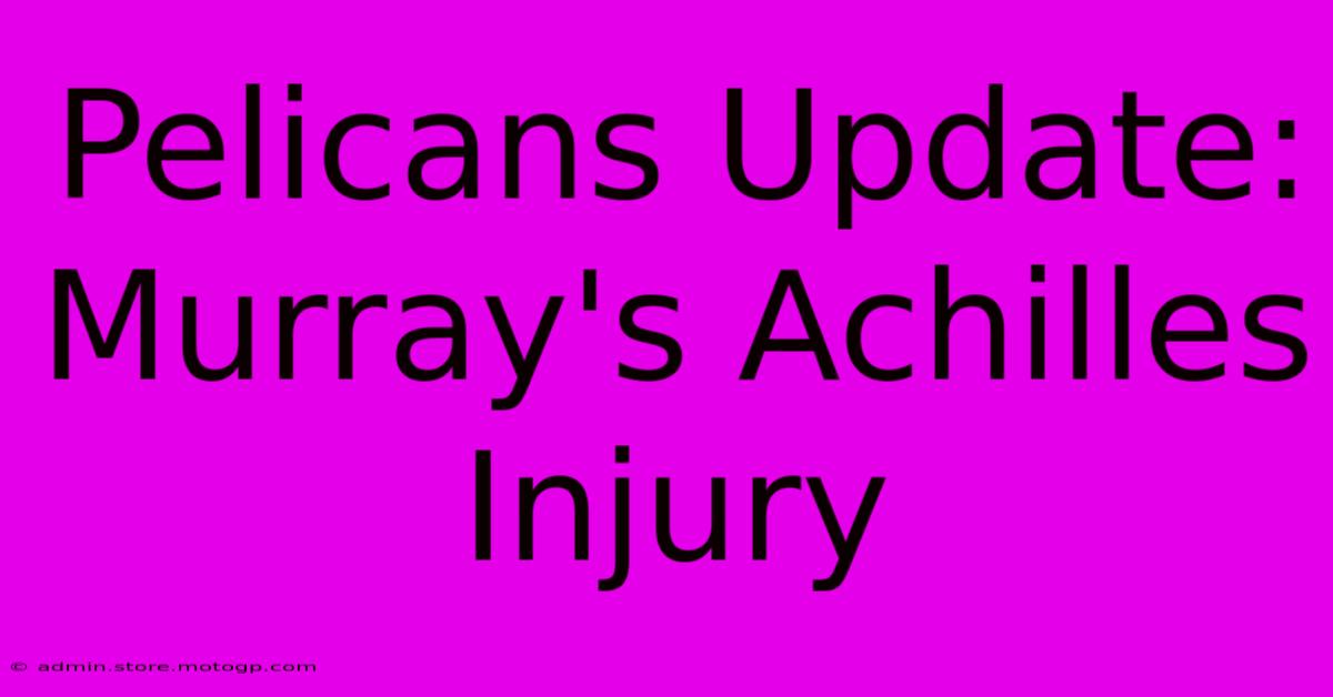 Pelicans Update: Murray's Achilles Injury