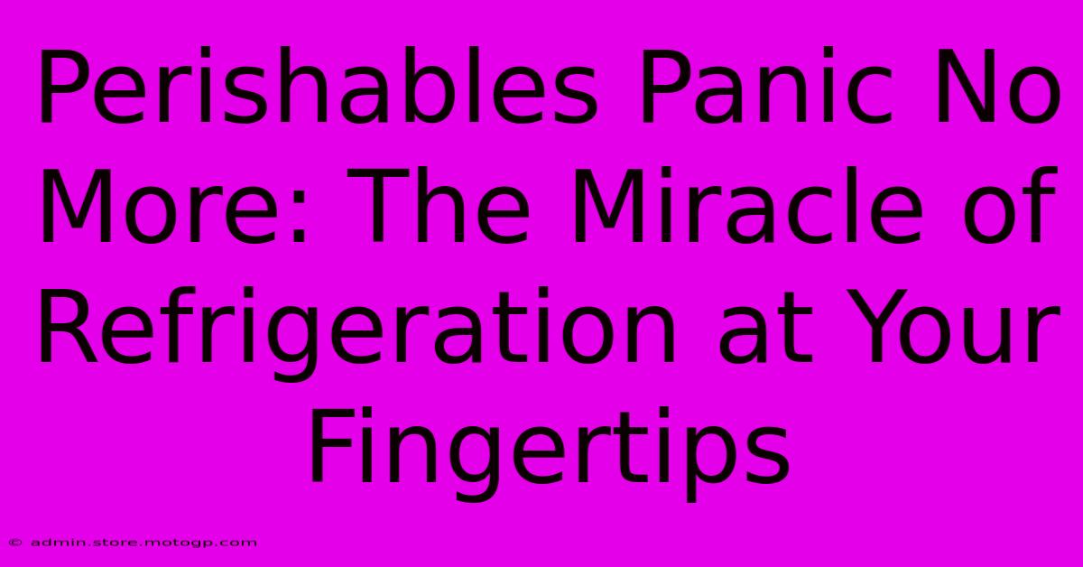 Perishables Panic No More: The Miracle Of Refrigeration At Your Fingertips