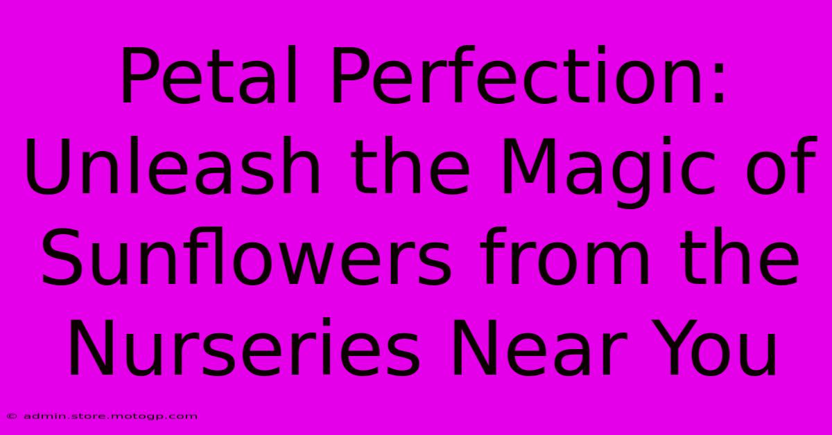 Petal Perfection: Unleash The Magic Of Sunflowers From The Nurseries Near You