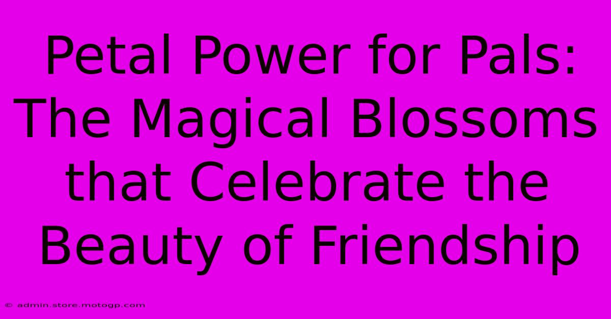 Petal Power For Pals: The Magical Blossoms That Celebrate The Beauty Of Friendship