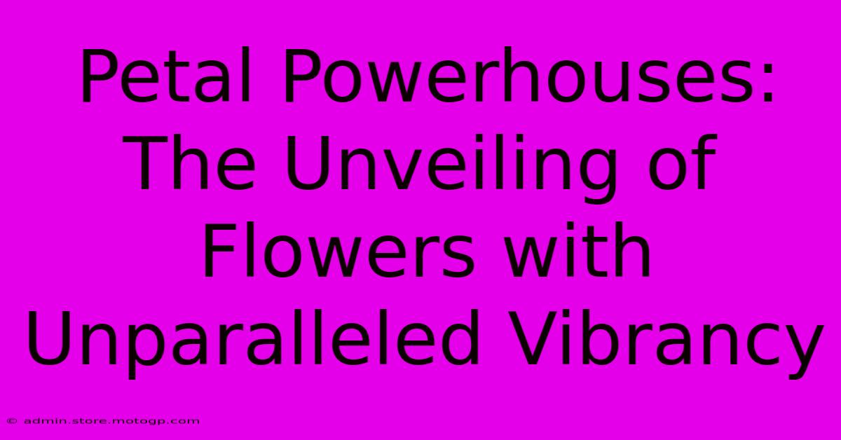 Petal Powerhouses: The Unveiling Of Flowers With Unparalleled Vibrancy