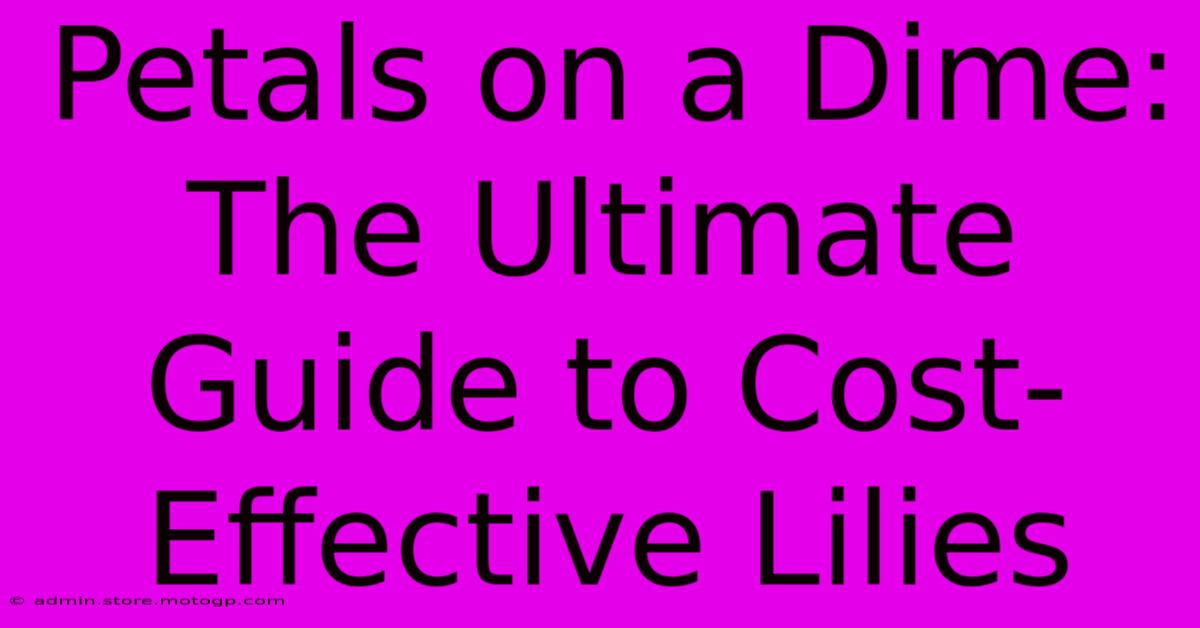 Petals On A Dime: The Ultimate Guide To Cost-Effective Lilies