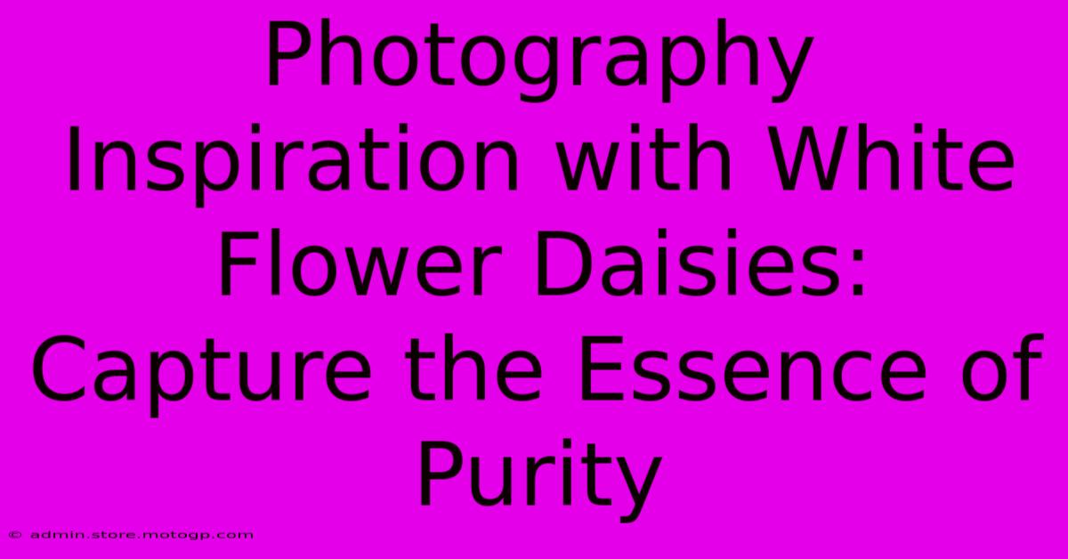 Photography Inspiration With White Flower Daisies: Capture The Essence Of Purity