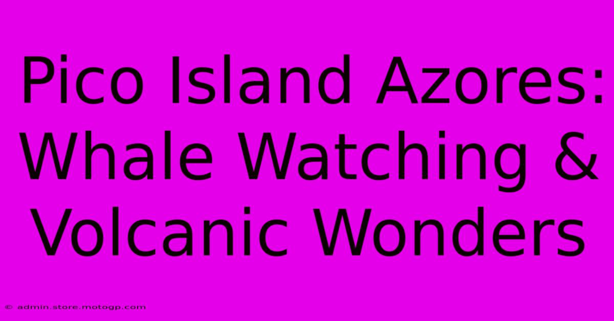 Pico Island Azores: Whale Watching & Volcanic Wonders