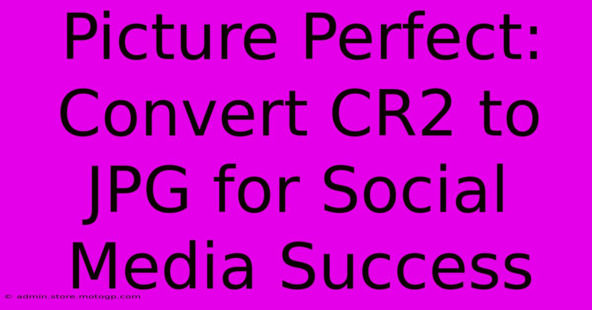 Picture Perfect: Convert CR2 To JPG For Social Media Success