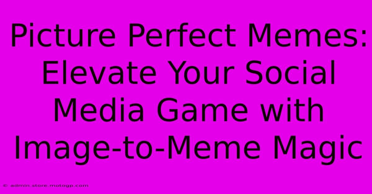 Picture Perfect Memes: Elevate Your Social Media Game With Image-to-Meme Magic