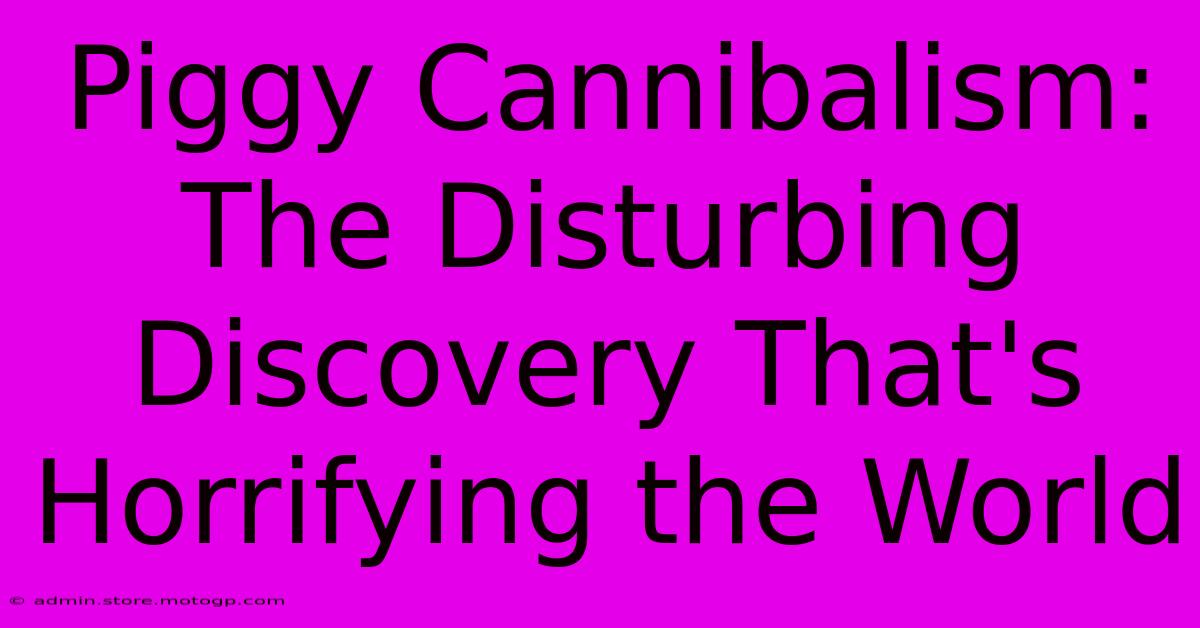 Piggy Cannibalism: The Disturbing Discovery That's Horrifying The World