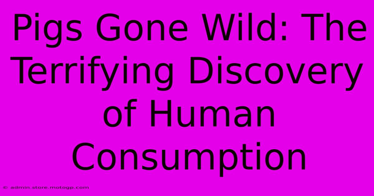 Pigs Gone Wild: The Terrifying Discovery Of Human Consumption