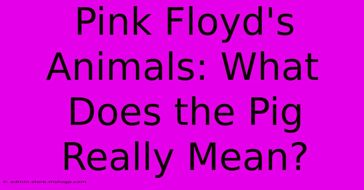 Pink Floyd's Animals: What Does The Pig Really Mean?