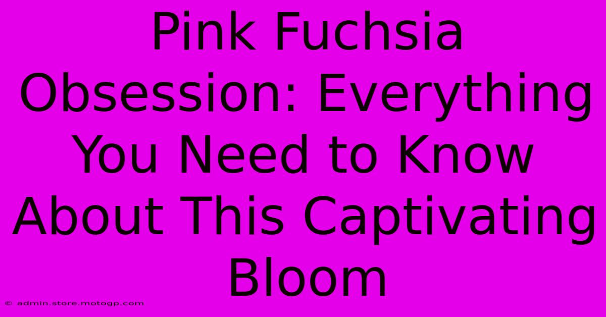 Pink Fuchsia Obsession: Everything You Need To Know About This Captivating Bloom