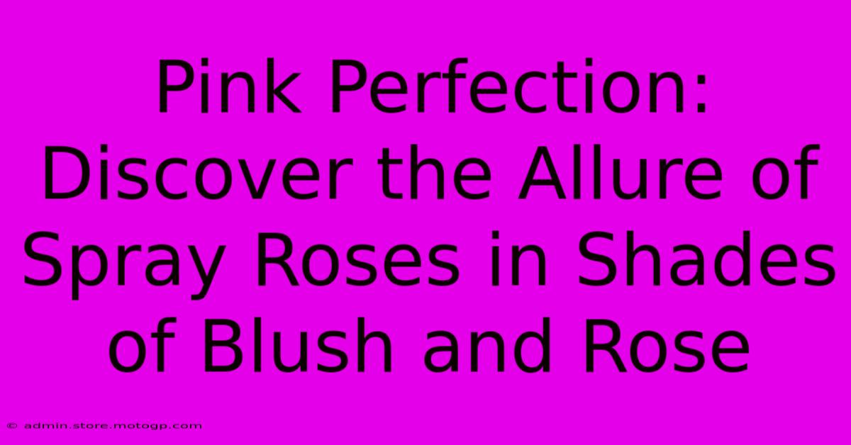 Pink Perfection: Discover The Allure Of Spray Roses In Shades Of Blush And Rose