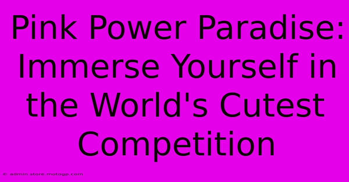 Pink Power Paradise: Immerse Yourself In The World's Cutest Competition