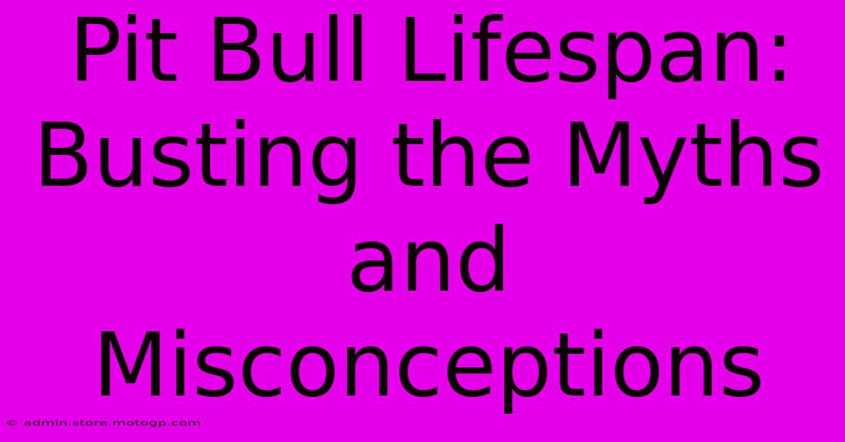 Pit Bull Lifespan: Busting The Myths And Misconceptions