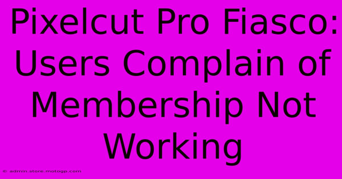 Pixelcut Pro Fiasco: Users Complain Of Membership Not Working