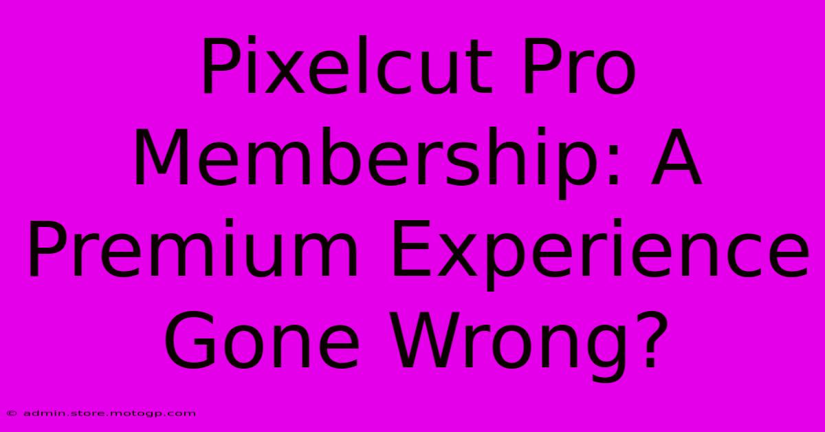 Pixelcut Pro Membership: A Premium Experience Gone Wrong?