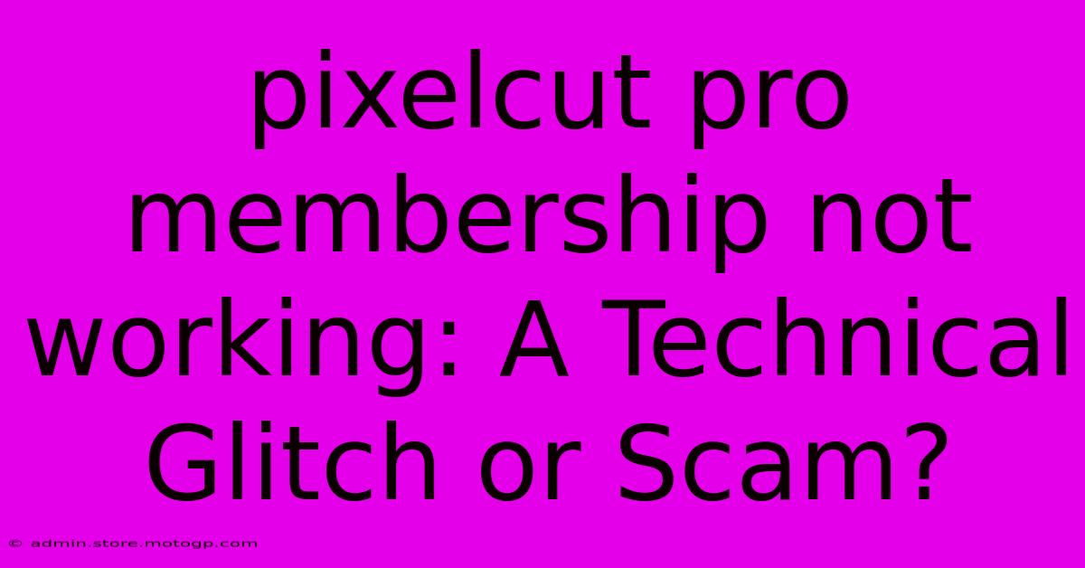 Pixelcut Pro Membership Not Working: A Technical Glitch Or Scam?