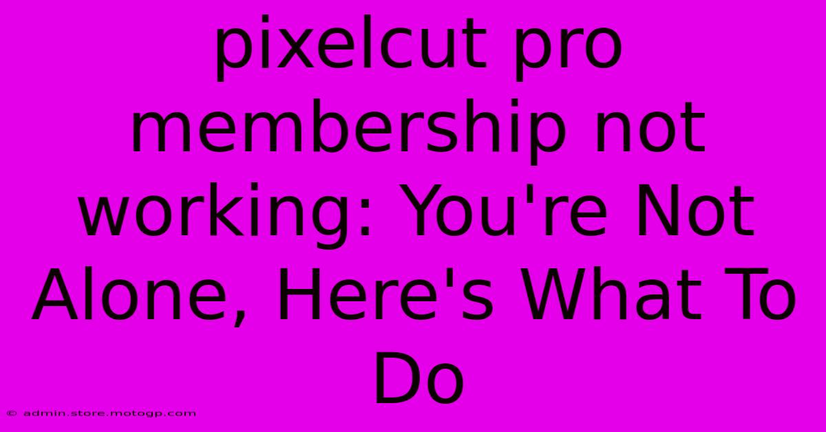 Pixelcut Pro Membership Not Working: You're Not Alone, Here's What To Do