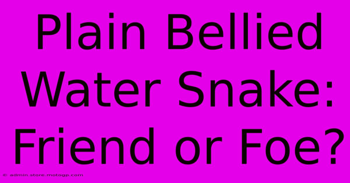 Plain Bellied Water Snake: Friend Or Foe?