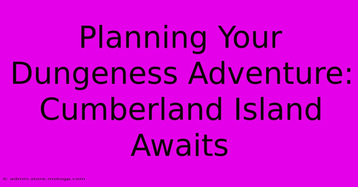 Planning Your Dungeness Adventure: Cumberland Island Awaits