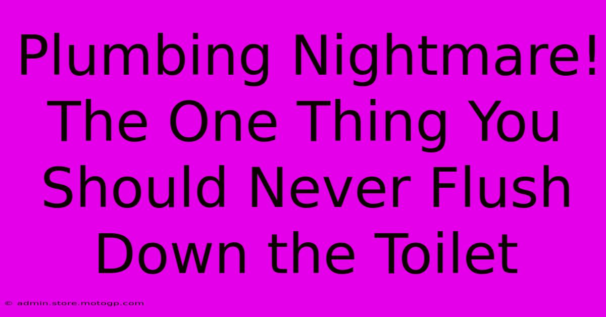 Plumbing Nightmare! The One Thing You Should Never Flush Down The Toilet