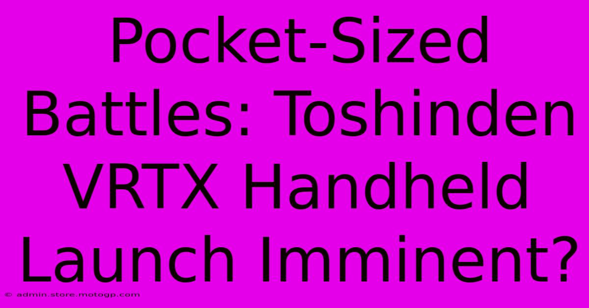 Pocket-Sized Battles: Toshinden VRTX Handheld Launch Imminent?