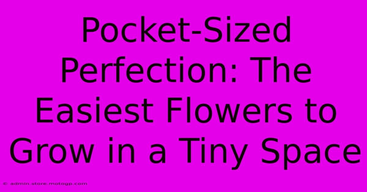 Pocket-Sized Perfection: The Easiest Flowers To Grow In A Tiny Space