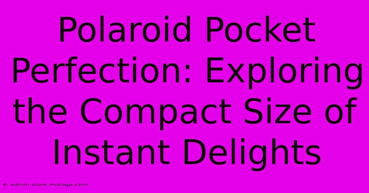 Polaroid Pocket Perfection: Exploring The Compact Size Of Instant Delights