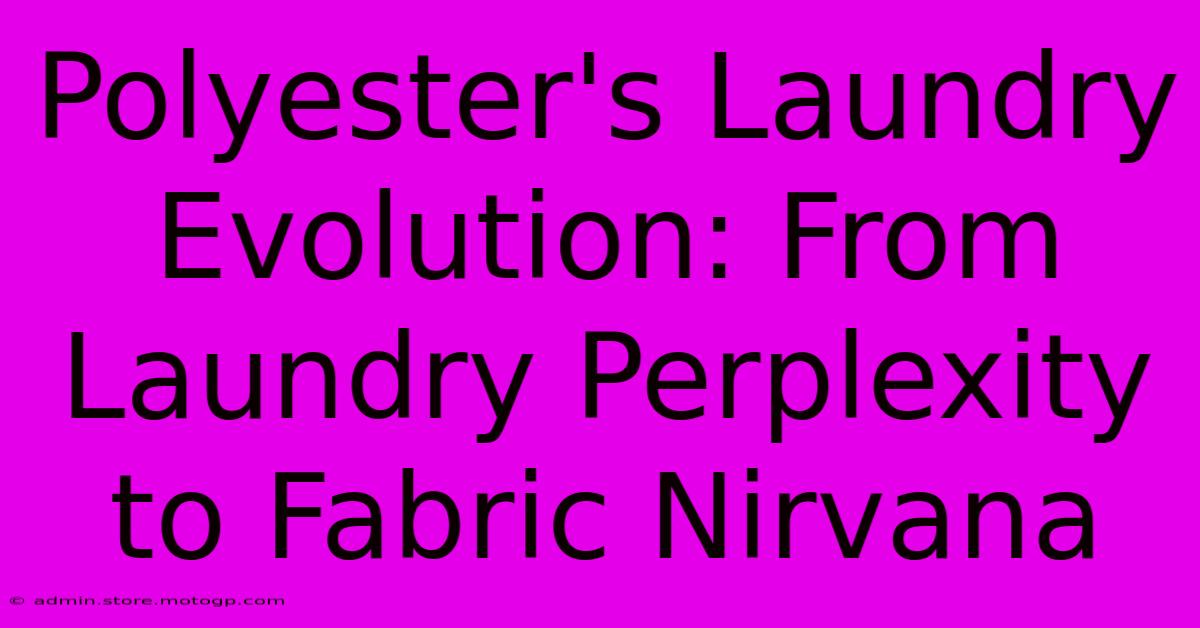 Polyester's Laundry Evolution: From Laundry Perplexity To Fabric Nirvana