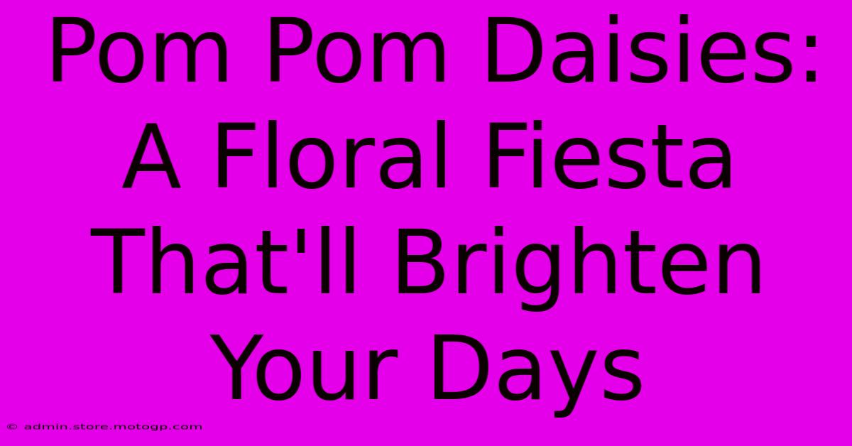 Pom Pom Daisies: A Floral Fiesta That'll Brighten Your Days