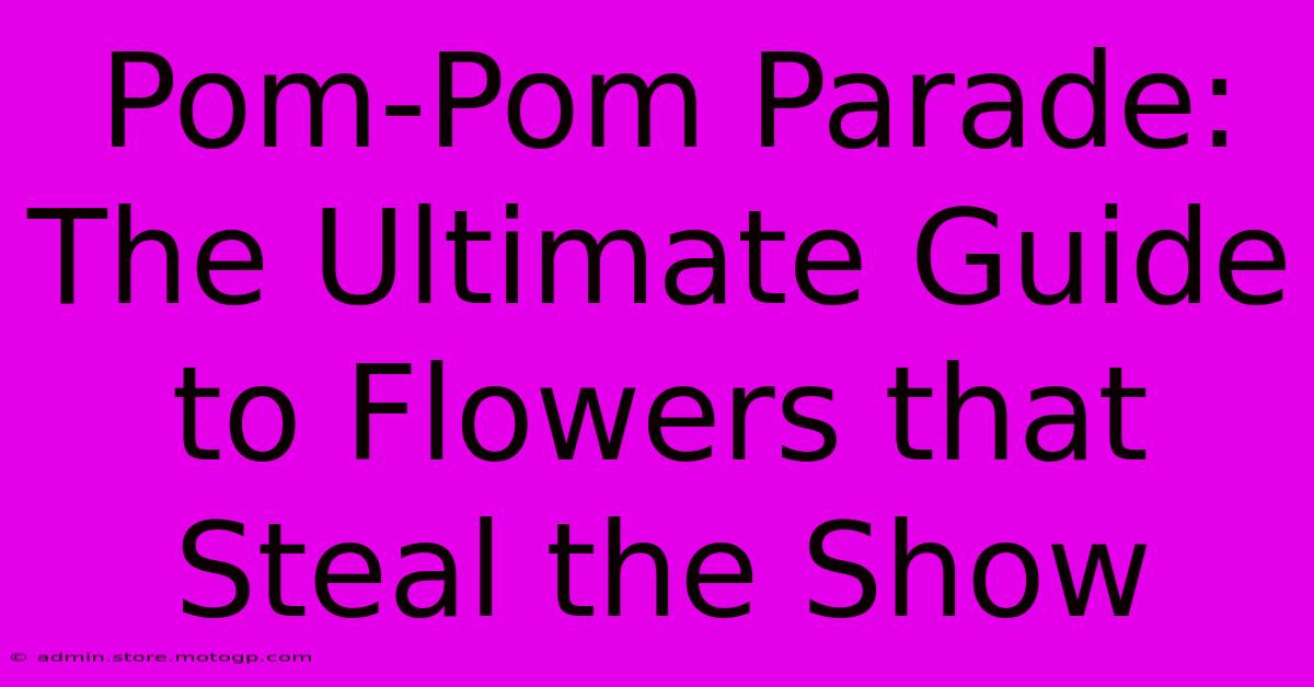 Pom-Pom Parade: The Ultimate Guide To Flowers That Steal The Show