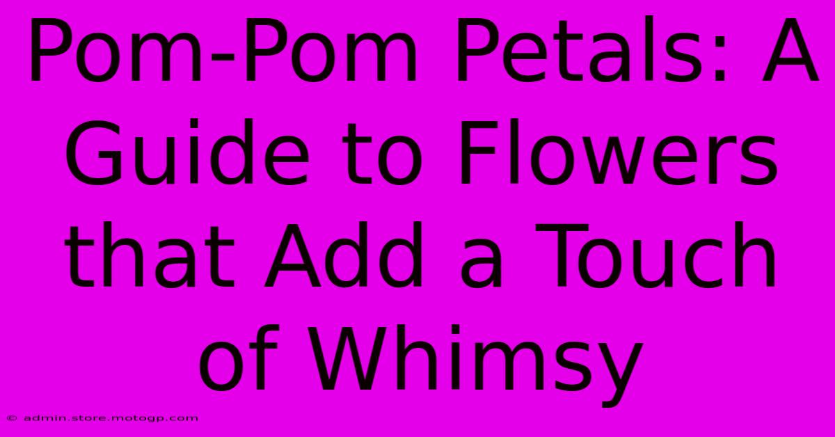 Pom-Pom Petals: A Guide To Flowers That Add A Touch Of Whimsy