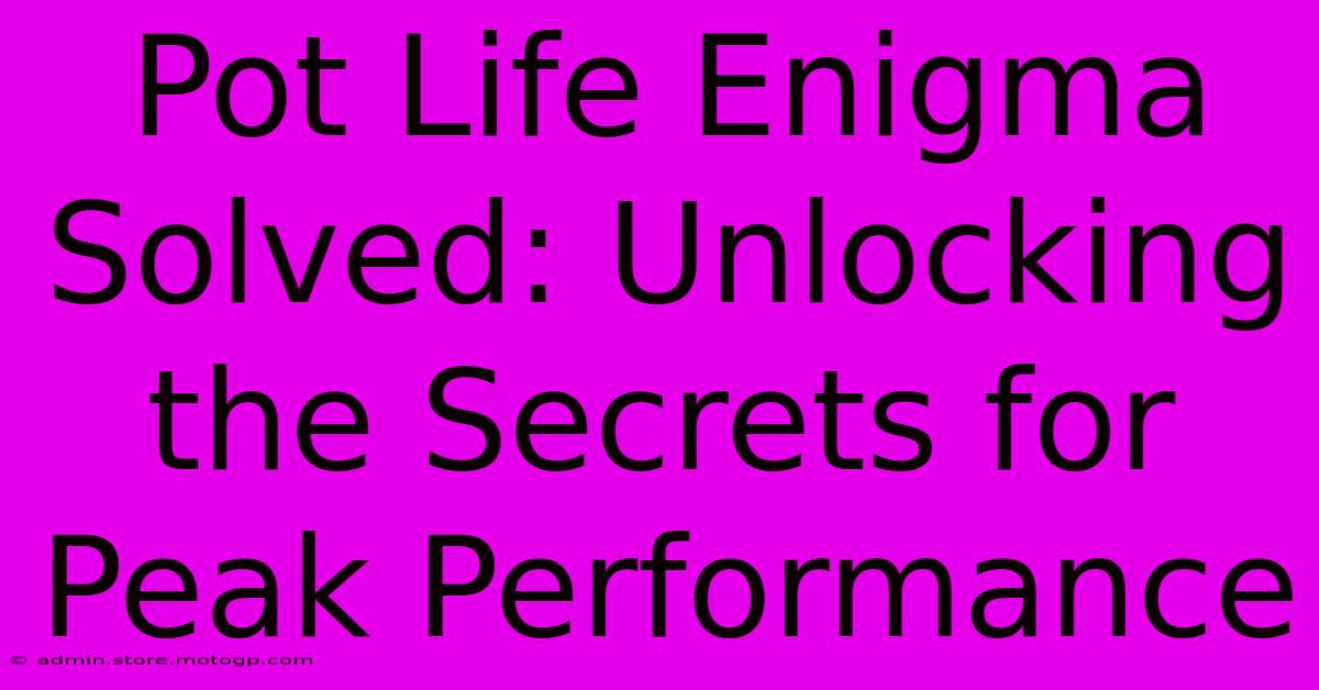 Pot Life Enigma Solved: Unlocking The Secrets For Peak Performance