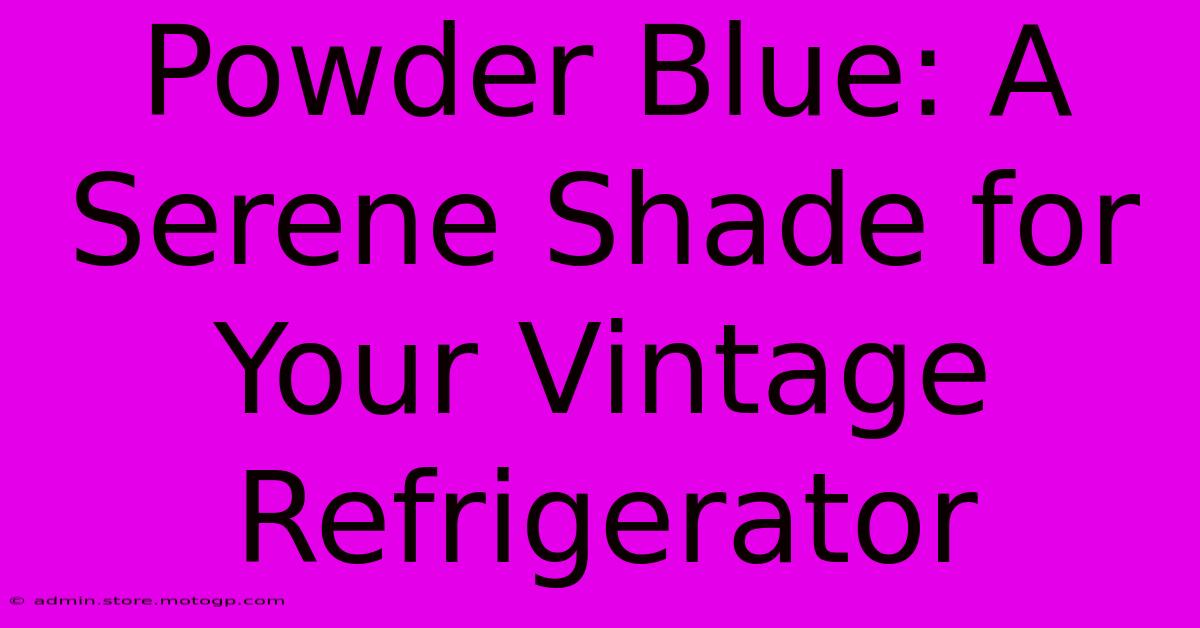 Powder Blue: A Serene Shade For Your Vintage Refrigerator