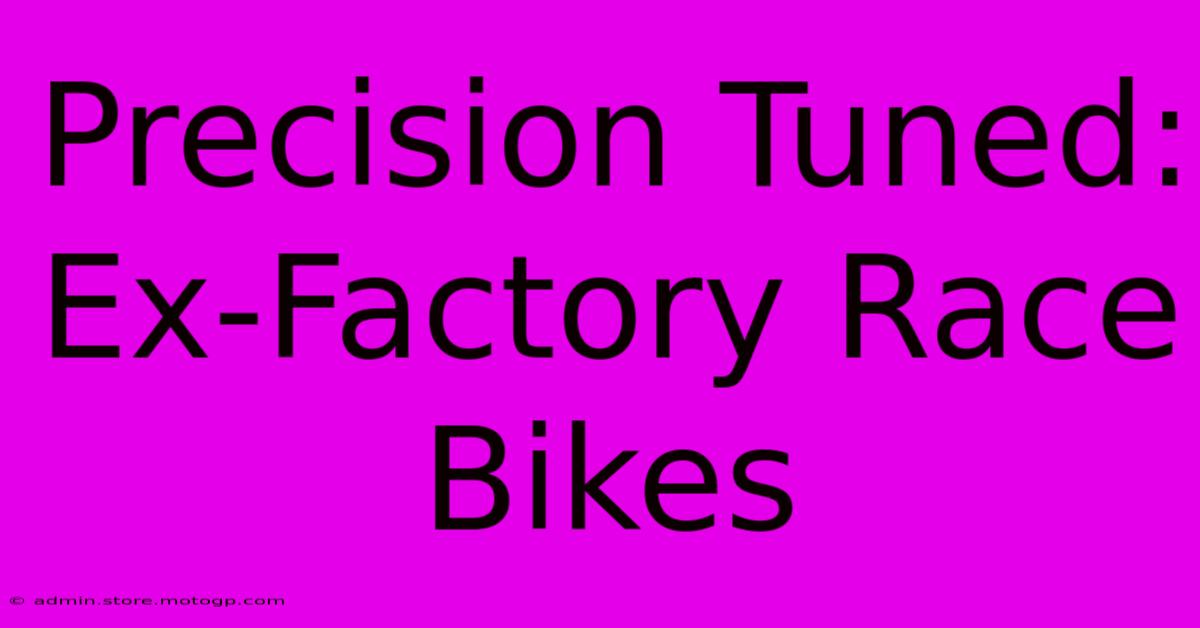 Precision Tuned: Ex-Factory Race Bikes