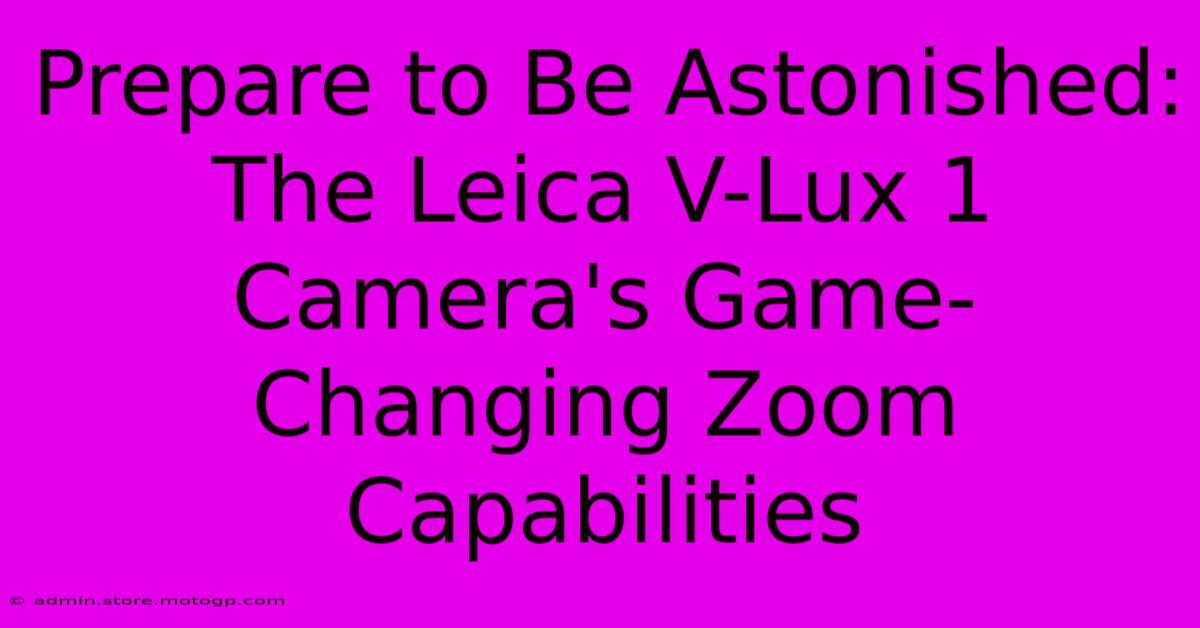 Prepare To Be Astonished: The Leica V-Lux 1 Camera's Game-Changing Zoom Capabilities