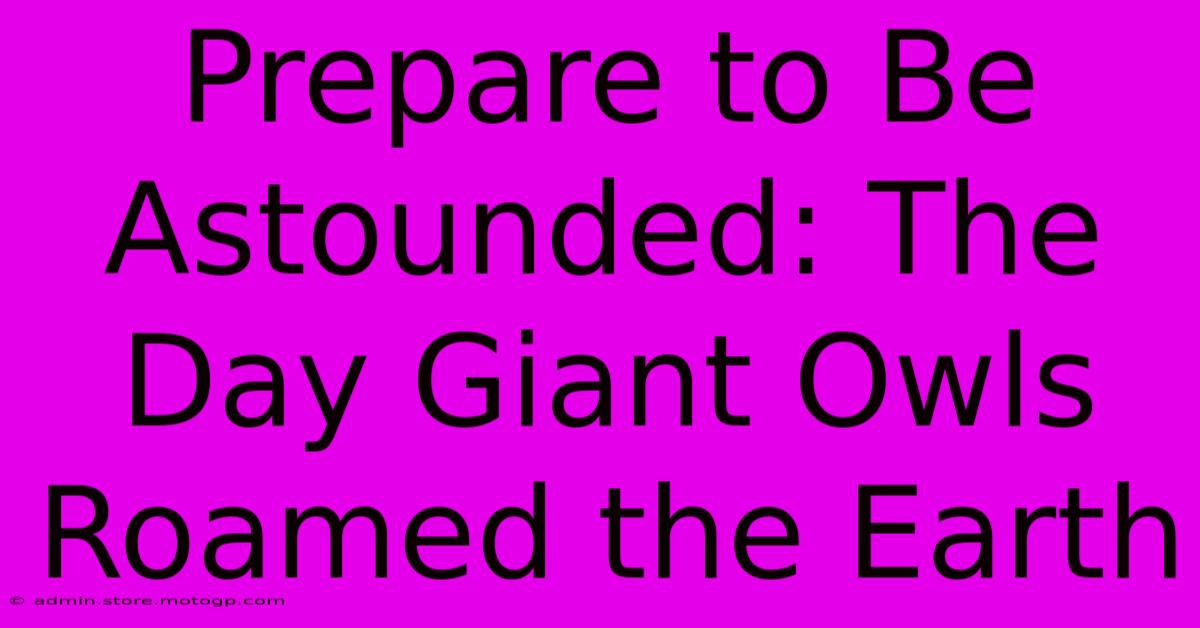 Prepare To Be Astounded: The Day Giant Owls Roamed The Earth