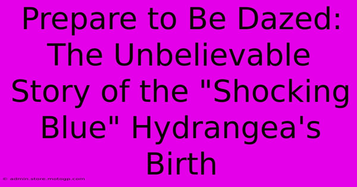 Prepare To Be Dazed: The Unbelievable Story Of The 