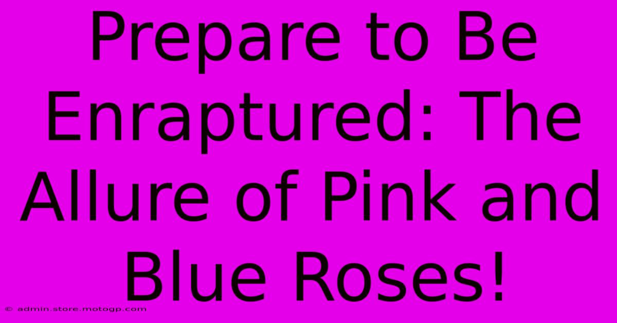 Prepare To Be Enraptured: The Allure Of Pink And Blue Roses!