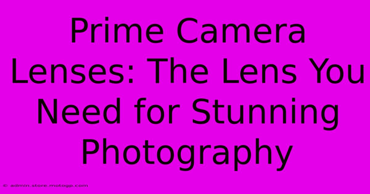 Prime Camera Lenses: The Lens You Need For Stunning Photography