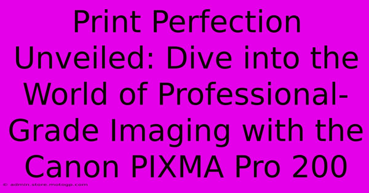 Print Perfection Unveiled: Dive Into The World Of Professional-Grade Imaging With The Canon PIXMA Pro 200