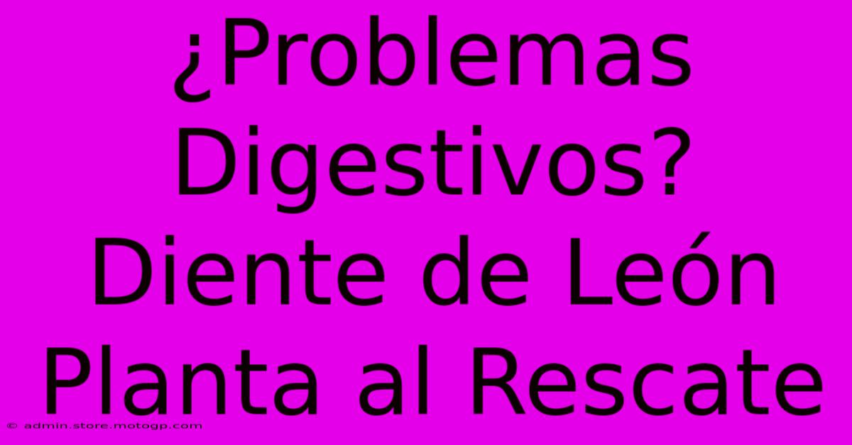 ¿Problemas Digestivos? Diente De León Planta Al Rescate